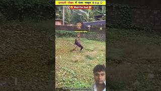 Bhaiya Ne Basai dokri Jaan dog motivation animals [upl. by Wit]