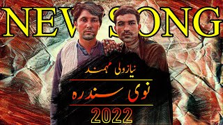 Niazwali Mohmand New Songs 2022  Imran chinarwal  نیازولی مہمند نوی سندرہ [upl. by Elocyn752]