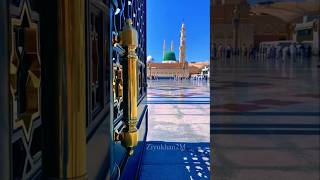 Tu shahe khuban tu jaane Jaana beautiful Naat Status 🥀😍shorts shortsvideo viralvideo [upl. by Moazami]