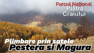 Peisaje de toamna prin satele Pestera si Magura Brasov Piatra Craiului octombrie 2024 calatorii [upl. by Gemina]