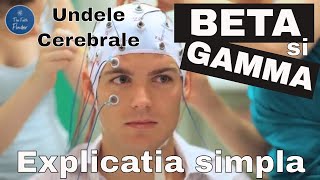 Undele Cerebrale  Beta si Gamma Explicatia simpla [upl. by Celie]