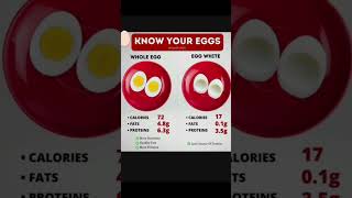 Whole egg vs Egg white eggwhite eggs [upl. by Zellner]