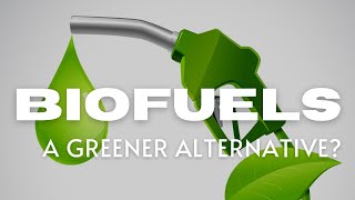 Biofuels The Future of Renewable Energy [upl. by Alicsirp]