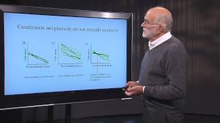 26 What is a patient  Reaction Norms and Phenotypic Plasticity [upl. by Clifford]