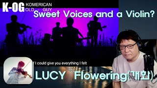 KOG reacts to MV LUCY  Flowering개화  Violin in a Band Cool sound and voices [upl. by Eirena321]