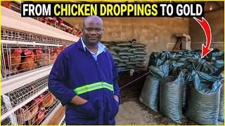 How He Makes Millions from Chicken Droppings in 3Simple Steps [upl. by Atalaya]