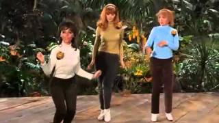 Gilligans Island  The Honey Bees You Need Us [upl. by Legim]