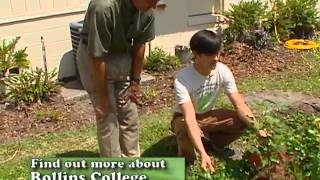 Central Florida Gardening  Organic Raised Beds [upl. by Ainesy]