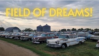 Dealership Cars Abandoned in Field for Decades Sold at Auction Classic Oldsmobile Pontiac Buick [upl. by Ytak]