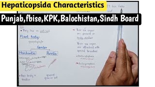 Hepaticopsida Characteristics And its Life Cycle  Biology Class 11 [upl. by Oibirot]