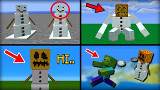 ✔ Minecraft 15 Things You Didnt Know About the Snow Golem [upl. by Johanan]