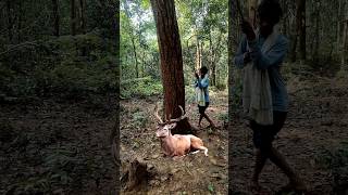 Real deer🦌seen amp😱catching a jangli man deer viralvideo vfx viewsshortstrendingshortswildlife [upl. by Loggia171]