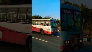 Punjab Roadways Bus  punjab roadways bus  punbus  Punbus  tata shorts punbus punjabroadways [upl. by Slinkman962]