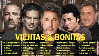 Ricardo Arjona Ricardo Montaner Luis Miguel Chayanne Franco De Vita Mix [upl. by Ridinger]