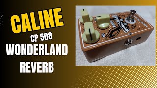 Caline CP 508 Wonderland Ambient Reverb [upl. by Nylhsa]