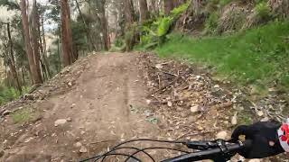 Mt Buller MTB Delatite river trail 2 of 6 [upl. by Kcirnek]