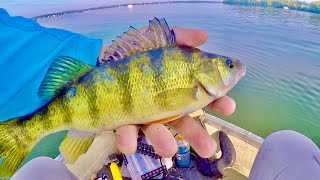 Fall Perch Fishing Tips and Locations  How to catch more Perch [upl. by Noirod417]