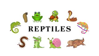 Reptiles Names  Names of Reptiles in English Vocabulary  Baby and Toddler Education  Preschool [upl. by Drabeck]