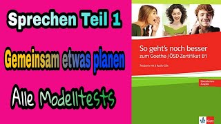 Goethe Zertifikat B1  Gemeinsam etwas Planen 100 mündlich bestehen  So gehts noch besser B1 [upl. by Lohse]