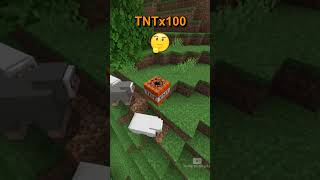 Minecraft 1 Block vs 500 Blocks TNT 😰😰😰 [upl. by Hsital]