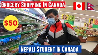 50 Grocery Shopping In Canada For International Students  Food Basics  Nepali Student In Canada [upl. by El778]