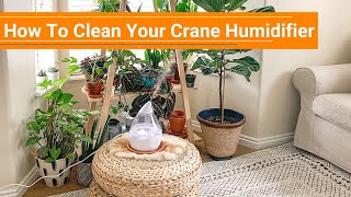 How To Clean Your Crane Humidifier [upl. by Akenom297]