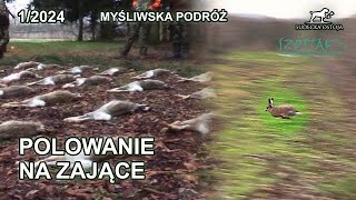 Polowanie na zające  Myśliwska podróż  SUDECKA OSTOJA 12024  hare Hasenjagd chasse au lièvre [upl. by Kassaraba]