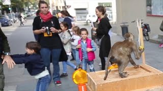 Anche a Reggio Emilia arriva la Giornata nazionale delle famiglie al museo [upl. by Elimaj]