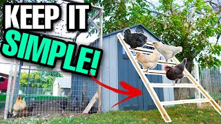 CHEAP And EASY DIY Chicken Roost [upl. by Nilo]