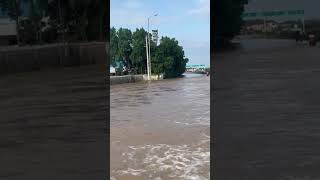 మునిగిన పిఠాపురం  Heavy floods water in Pithapuram😥pithapuram kakinada flood gollaprolu [upl. by Kerat]