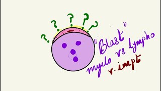 Lymphoblast vs Myeloblast ✅✏️ vimpt topic [upl. by Beverlie]