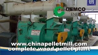 Complete wood pellet line established in China for large scale wood pellet production [upl. by Harper]