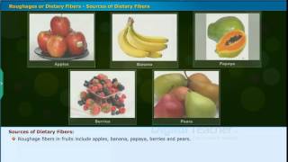 Roughages or Dietary Fibers Sources of Dietary Fibers Class 7 Biology [upl. by Elletse13]