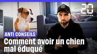 Comment être sûr davoir un chien mal éduqué  Les anticonseils dEsprit Dog [upl. by Annauqahs]