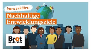 Kurz erklärt Nachhaltige Entwicklungsziele [upl. by Ebonee]