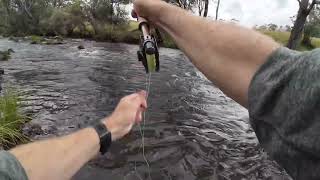 Murray River Trout Fishing from Tom Groggin Campsite  5 February 2024  Day 3 [upl. by Gipson]