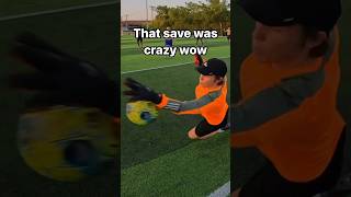 INSANE GOALIE SAVES goalkeeper soccer football [upl. by Nayd]