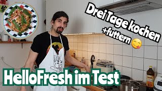 Drei Tage kochen mit HelloFresh  Qualität Geschmack und Preis [upl. by Abas]