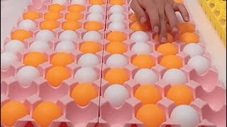 Almost ended without a winnerpingpongballs pingpongers pingpangpong satisfying [upl. by Munson]