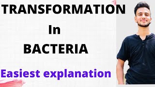 TRANSFORMATION IN BACTERIA  Microbiology [upl. by Carmine]