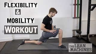 Flexibility and Mobility Workout 20 min [upl. by Enovahs]