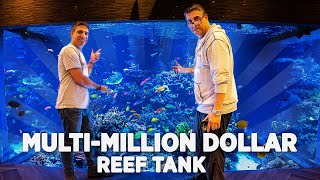 WWC Visits The Largest Private Reef Tank in America [upl. by Ecitnirp]