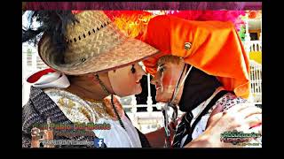 MUSICA DE CARNAVAL DE SAN PABLO DEL MONTE TLAXCALA [upl. by Eltrym]