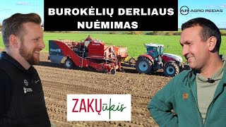 Burokėlių derliaus nuėmimas Zakų ūkyje  AGRO REIDAS [upl. by Corvin]