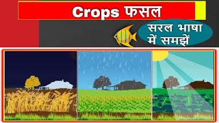 crops in Indian geography  Crops and its Classification  crop classification [upl. by Kared85]