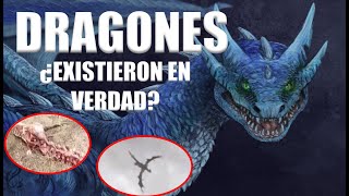 Los Dragones ¿Alguna Vez Existieron  Mini Documental  Historia y Tipos de Dragones [upl. by Nedarb]