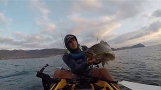 Pesca de abadejo en kayak con vinilos en la costa de Almeria [upl. by Boaten507]