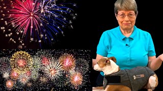 What To Do When Your Dog Is Scared of Fireworks [upl. by Yssirk]