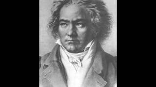 Beethoven Piano Sonata No 25 in G major Op 79 3 Vivace [upl. by Ellehcirt]