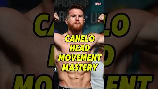 Boxing Head Movement for Dummies Master the Lines and Never Get Hit canelo saulalvarez foryou [upl. by Yllil]